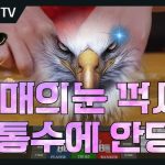 카지노사이트 모음