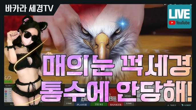 카지노사이트 모음