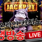 카지노사이트