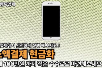 휴대폰소액결제미납
