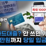 신용카드소지자대출