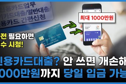 신용카드소지자대출